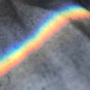 Meet your Posher, Lily